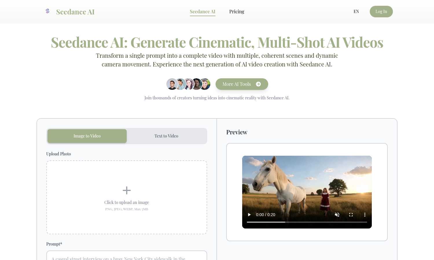 Seedance AI application interface and features