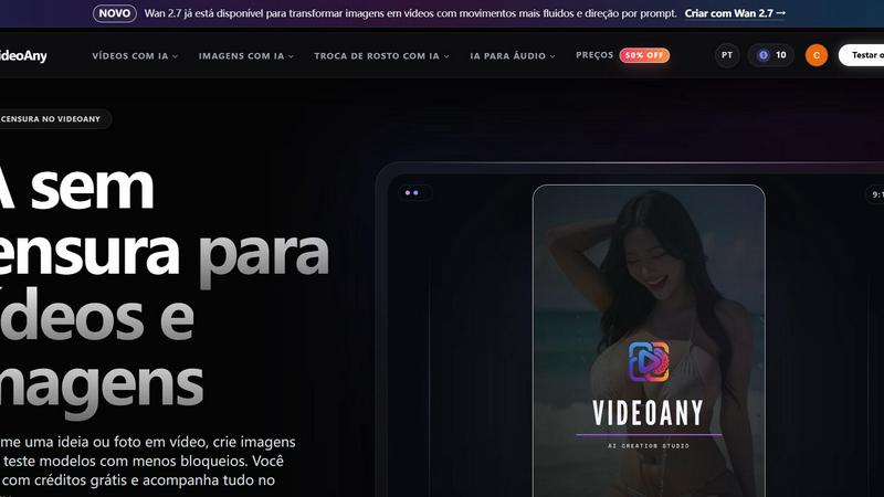 VideoAny BR application interface and features
